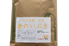 【新米】令和5年 金のいぶき玄米５kg～農薬・化学肥料不使用