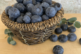 【超お得パック！】完熟生ブルーベリー500g×2パック