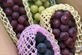 《家庭用》ぶどう三姉妹®︎（３〜４房）長野県須坂市産・クール便