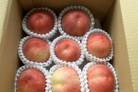 早実り、香り豊かな桃！ひめまるこ　1kg