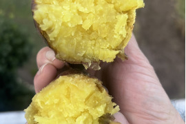【限定‼️シルクスイート約6キロ☆なめらか食感＆甘さ上質🍠】サイズ混載 土つき