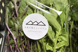 やまの畑・冬の野菜セット Mサイズ（標準サイズ）