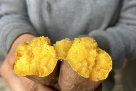 熊本県産オーガニック！安納芋【丸々として蜜が溢れる】(箱込み５㎏)焼き芋、お菓子作りにも！