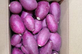 熟成紅はるかの小芋だけ詰込みました。80サイズ箱、約5kg（Mサイズ以下）