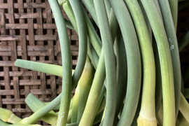自然栽培のにんにくの芽　5ｋｇ