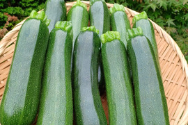 農薬・化学肥料不使用　ツヤツヤのズッキーニ　10本(約2kg)