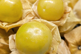 【北海道産】食用ほおずき150g【スーパーフード】