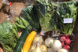 旬の野菜セット（7～9品種）