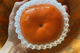 しっとり！甘い！早秋柿　3キロ