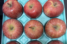 青森県産りんご　小ぶりで食べやすい　訳あり小玉りんご　葉取らずふじ【訳あり3kg 12個〜13個】