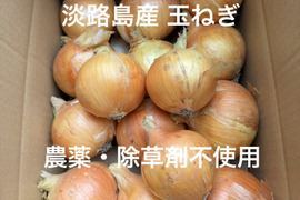 【小玉】農薬、除草剤不使用！淡路島玉ねぎ10kg 【生で食べてみて！】加熱だけじゃもったいない。サラダでも美味しい淡路島の完熟玉ねぎ。