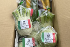 アグリージョのイタリア野菜お試しセット（1〜2名用）60サイズ