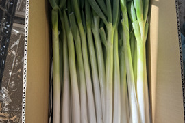 甘い長ネギ　有機肥料栽培　除草剤不使用　群馬県産　30本　Mサイズ(1,2-1,5cm)