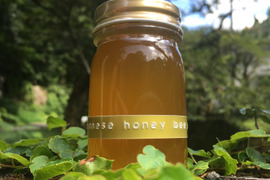 【朝市限定】日本蜜蜂のハチミツ　　　　（花粉蜜/100g）【天然品】