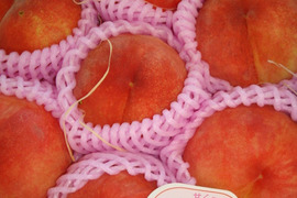 あかつき桃【夏ギフト】　信州からの進物好適品　ご好評販売中　　2.8キロ　9個から10個入り