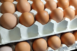 純国産鶏あずさの平飼い卵80個