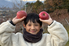 【冬ギフト】サンふじ 3kg 8~9玉