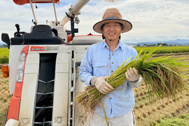 【令和8年産新米】Aランク『新潟コシヒカリ』10kg