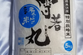 【令和7年新米】特別栽培米雪若丸精白米5kg２袋