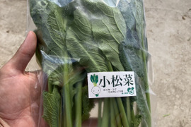 小松菜1ｋｇ　 有機JAS