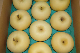 希少品種　はるか　３キロ　家庭用