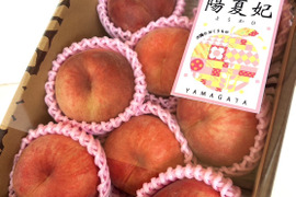 希少品種‼️山形県産 陽夏妃【2キロ中玉】