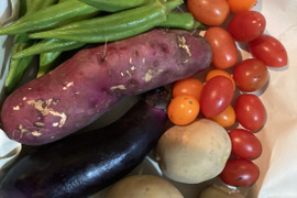 野菜セット5品目　【農薬不使用】 ♪オクラ、ミニトマト、ジャガイモ、ナス、サツマイモ♪