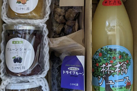 長野県産フルーツ加工品セット