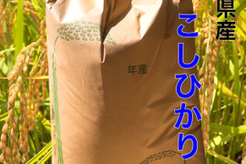 【7年度産 玄米30キロ】★季節の野菜プレゼント付★ふっくら・もちもち✴︎冷めても美味しい〜　千葉県産コシヒカリ【深田のお米】〜ホッとするお米あなたの食卓に〜