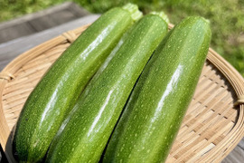 【千葉県産】有機ズッキーニ食べ比べセット１.5㎏～2kg入り