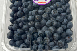 2nikau様 群馬県産 生ブルーベリー5キロ ブルーベリー 生 国産 通販 無農薬 自然 森のサファイア 長野県産