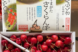 2026年予約販売　山形県産さくらんぼ　佐藤錦　1kg バラ詰め