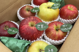 🍎7品種詰め合わせ🍎3キロ 【りんご食べ比べ】  おまかせ