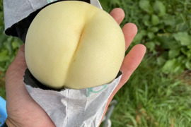 嫁一押しの桃！多くは語りません。箱を開くまでお楽しみ。