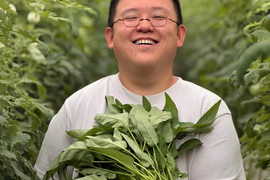 野菜セット新登場！💎 【Mセット（8~9品）】至高のプレミアム　畑の鼓動を丸ごと味わう、贅沢旬菜オールスターセット