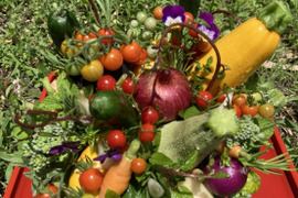 【お中元】野菜ブーケかごタイプ【カラフルなミニ野菜】【お誕生日】【開店祝い】【周年祝い】【お供え】