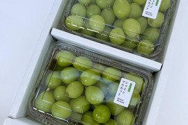 [TUBU] シャインマスカット（500g×2パック）