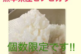 ちろる　新米 ヒノヒカリ 12kg ミルキー8kg 農家直送 お米 ちろる様専用 新米 ヒノヒカリ 12kg ミルキー8kg 農家直送 お米