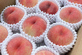 【数量限定特別価格！！！】白桃　品種おまかせ　訳あり３kg箱