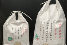 令和4年産！ふっくらもちもち！特別栽培米コシヒカリ玄米（5㎏）