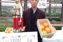 美味しさ抜群（早生の柿）「太秋」「太雅」「輝太郎」９個～１２個入３.５㎏以上