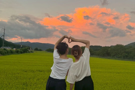 【残りわずか】滋賀県高島市朽木産　令和6年産　こしひかり100％　10㎏　無洗米