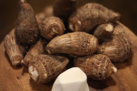 今が旬！里芋(伊予美人)のおいしさをお届け(1.5キロ)
