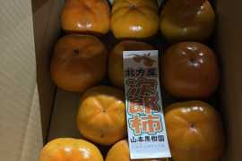 シャキシャキ食感！延岡市北方特産次郎柿！(2.5kg)
