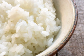 【20kg】ふっくら、もっちり、甘い！　令和6年産　那須の麓のコシヒカリ　白米