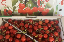 山形県産さくらんぼ　佐藤錦　1kg バラ詰め