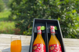 みかんに恋した 木村早生100%ジュース【果恋 karen】 720ml 2本