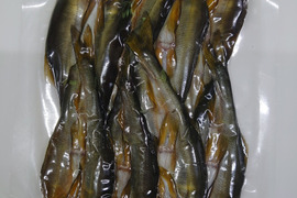 丸ごと食べれる！！！天龍鮎の一夜干し（約１３～１５㎝　８枚入）