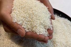 【コシヒカリ白米27kg】【令和7年新米🌾】炊きたて艶ピカ°˖✧（本州の方限定）