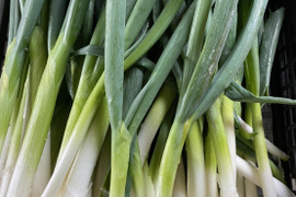 甘みがたっぷり‼️九条太ネギ‼️2kg入‼️